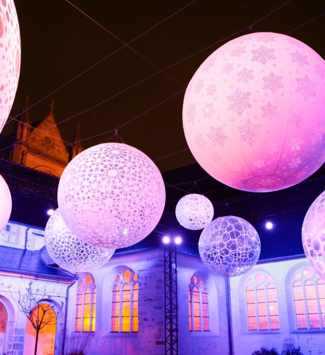 Illuminations du jardin du cloître pour l'Ouverture du cloître au cœur du Couvent des Jacobins 2025