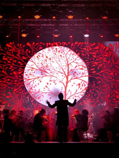 Visuel du spectacle The Music of Hans Zimmer