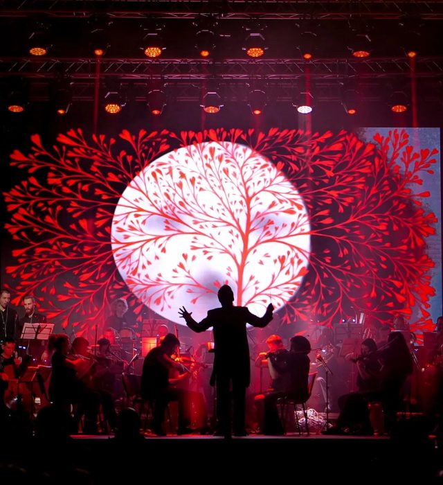 Visuel du spectacle The Music of Hans Zimmer